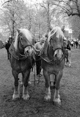 dada
fuji 6x9 Tmax
Mots-clés: fuji 6x9 Tmax