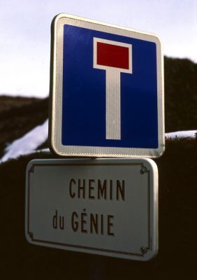 Le chemin du génie mène à une impasse
