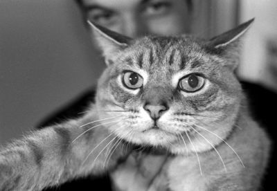 Chat choppé
Bakaneko da !
Mots-clés: EOS 33