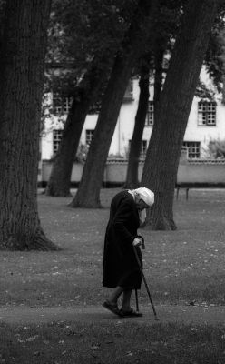 Participation 07
