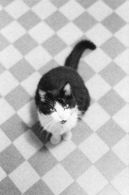 Salem
