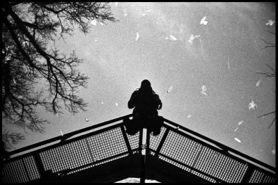 reflet
