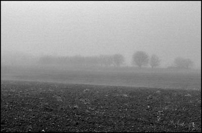 brume_ter.jpg