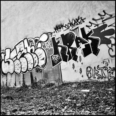 tag.jpg
