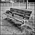 banc.jpg