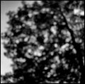 bokeh_2_T.jpg