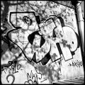 tag_13.jpg