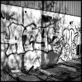 tag_15.jpg