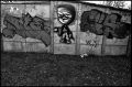 tag_17.jpg
