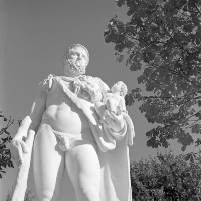 Statue à Versailles
Rolleiflex sl66
TriX @ 400
Rodinal
scan

