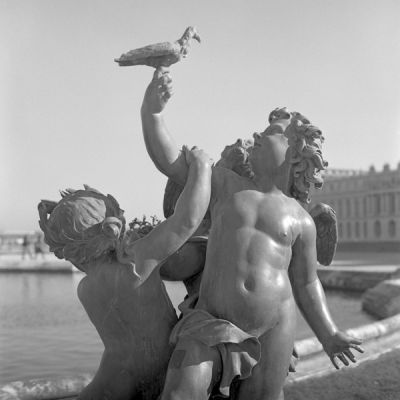 Statue à Versailles2
Rolleiflex sl66
TriX @ 400
Rodinal
scan

