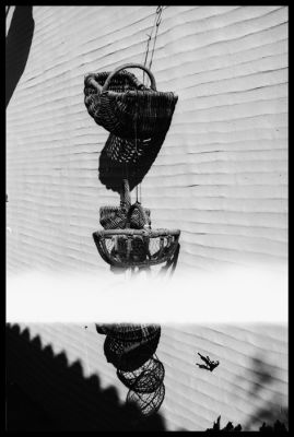 NEG_0010.jpg