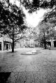 Bessa_R-15mm-15-11-24__03.jpg