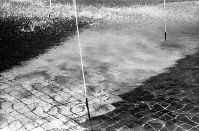HP5+_27_322_2.jpg