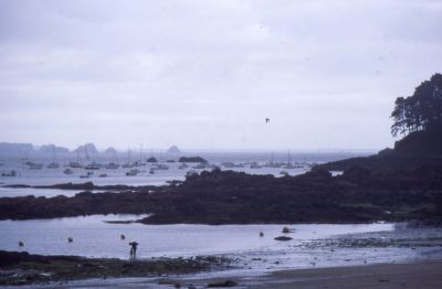img048_petit.jpg