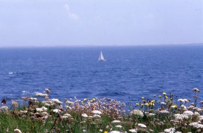 img061_petit.jpg