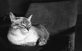 néga_1600iso035.jpg