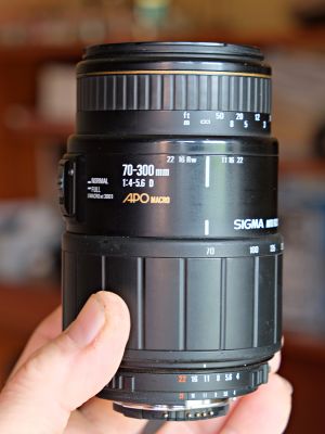 DSCF9155.JPG