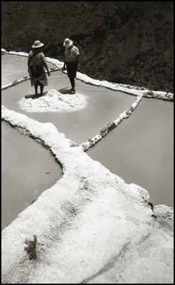 Pérou - salina maras 2009
Ilford Hp4; Contax G2... Saline de Maras au Pérou. Dans le cadre de l'exposition "L'Homme et le Sel"
Photographe: Sébastien Sagnard
Mots-clés: L'Homme et le Sel