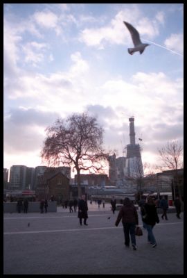 Londres et le pigeon
Janvier 2011
Londres
Minolta x700
Fuji Superia 200 (dev labo)
Epson v300
