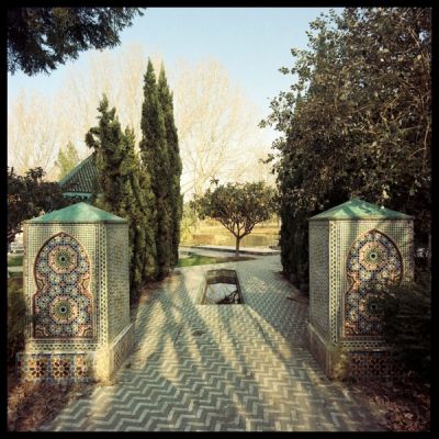 Parc Floral de Bordeaux
Rolleiflex 6006, Distagon 40mm f/4
Kodak Portra 160VC exposée à 100 ASA, développée avec le kit Digibase Rollei à 25°

