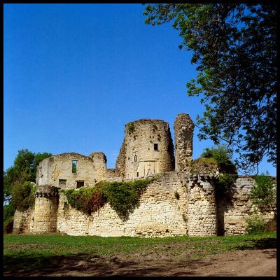 Forteresse de blanquefort (33)
Rollei 6006, Planar 80mm f:2,8 - Portra 160VC 
