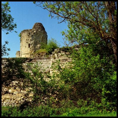 Forteresse de blanquefort (33)
Rollei 6006, Planar 80mm f:2,8 - Portra 160VC 
