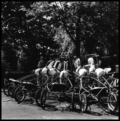 Rollei 6006 - Planar 80mm - Fomapan 100
