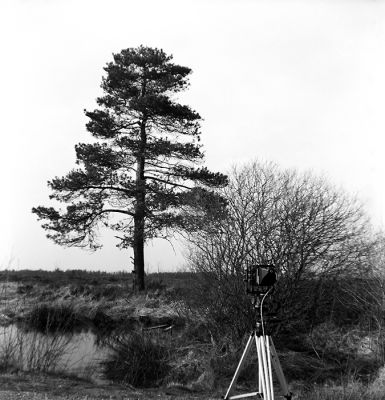 A la chambre dans la fagne
Photo prise avec un box kodak brownie hawkeye
Mots-clés: Kodak brownie hawkeye box fagne Malchamps