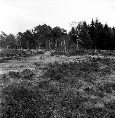 Fagne de Malchamps au box kodak
Qui a dit "clic-clac merci kodak ?
Mots-clés: Kodak brownie hawkeye box fagne Malchamps