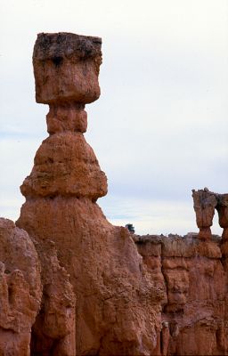 Bryce Canyon (4)
Contax TRS II + Sonnar 135mm 1:2.8
Ektachrome 100
Mots-clés: Bryce contac rtsII sonnar