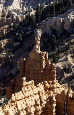 Bryce canyon (5)
Contax RTS II + Planar 50mm 1:1.7
Ektachrome 100
Mots-clés: Bryce Contax RTSII Planar