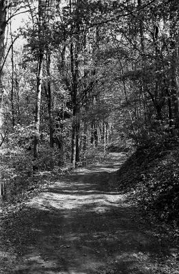 Bois des nids d'aguesses
Canon Canonet 28 / FP4+
Mots-clés: Canonet 28