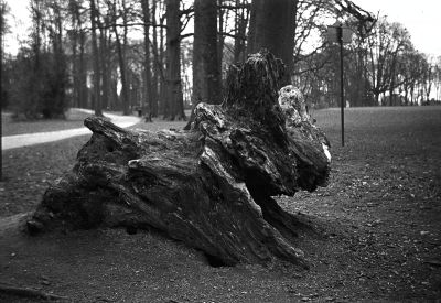 Couple Bantam colorsnap + GP Survey 27 NP (1)
Kodak Bantam colorsnap, film GP Survey 27 non perforé sur bobine 828 reconstituée.
Développé 11'30 dans du Rodinal 1+50
