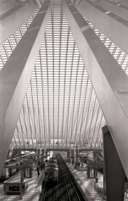 Gare des Guillemins (2)
Photo prise avec un Kodak Retina 1a de 1949.
Ilford HP5+ , ID-11
f:16 à 1/100
Mots-clés: Kodak Retina 1a Guillemins
