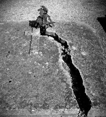 Résurrection.
Cimetière de Theux
Appareil: Gallus derlux - Film 127 EFKE R100 développé dans du Rodinal 1+50, 8'40" à 21,3°C
Mots-clés: Cimetières Theux Gallus derlux
