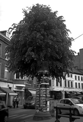 Arbre Morris
Photo prise avec un Gelto DIII de 1945
Rollfilm 127 Rollei Retro80S / Rodinal 1+50 - 14' à 20°C
Mots-clés: Gelto DIII Rollei Retro80S Morris Arbre
