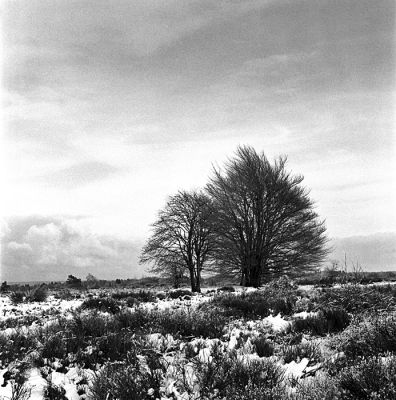 Fagne de Malchamps (3)
Hasselblad 500 C/M + Planar 80mm 1:2.8
Ilford HP5+ f:16/22 à 1/250e
Mots-clés: Fagne Malchamps Spa Hasselblad