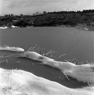 Fagne de Malchamps (2)
Hasselblad 500 C/M + Planar 80mm 1:2.8
Ilford HP5+ f:16/22 à 1/250e
Mots-clés: Fagne Malchamps Hasselblad Spa
