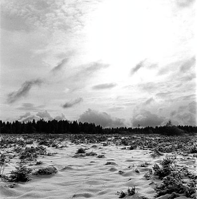 Fagne de Malchamps (1)
Hasselblad 500 C/M + Planar 80mm 1:2.8
Ilford HP5+ f:16/22 à 1/250e
