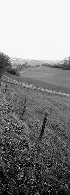 Essai Hasselblad Xpan 1
45mm - HP5+
Mots-clés: Hasselblad Xpan