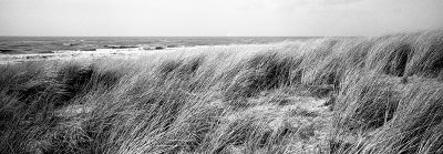 Dunes
Hasselblad Xpan / 45mm / HP5+ / LC29 1+29
Mots-clés: Dunes Hasselblad xpan