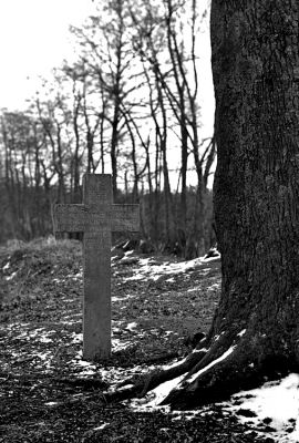 Croix d'Occis
Houghton victro superb 1/2 plate (4.75" x 6.50") de 1912
Ilford FP4+ 125 asa - 1/30 à f:9
Mots-clés: Houghton victro superb croix