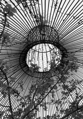 Arbre en cage
Voigtlander bessa-t + Zeiss Planar ZM 2/50
Ilford FP4+ 15' dans du Rodinal 1+50 à 20°C
Mots-clés: Arbre Voigtlander bessa-t planar