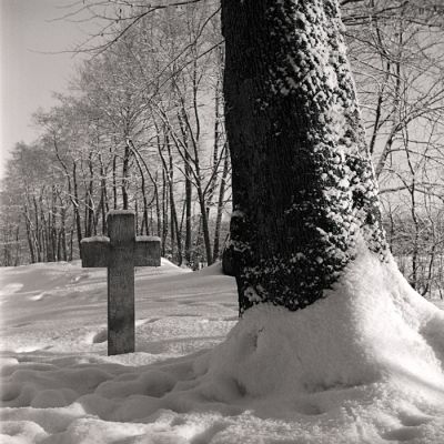 Cause à effet
Yashica A - Ilford HP5+ - 1/100e. à f:11 - Scan RVB
L'arbre a été la cause de la mort de Dame De Behr qui s'y cogna en chutant de cheval en 1818
