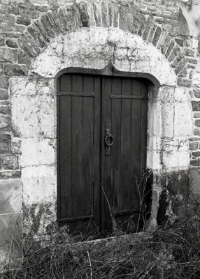 Porte
Contax RTS - Planar 2.8 50mm - T-Max 400
Mots-clés: Contax RTS Planar T-Max