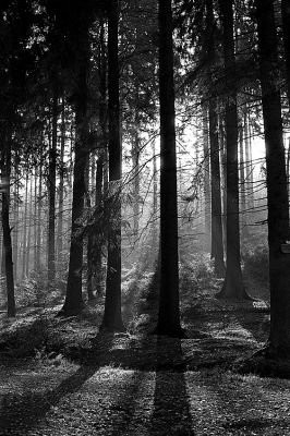 Automne en ardennes
Leica M6 + Zeiss planar ZM 50mm
Kodak Tri-X 400 asa / Rodinal 1+25
Mots-clés: Leica automne zeiss planar zm