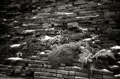 Mur au Curtius
Mur au Musée Curtius à Liège.
Zeiss Contina IIa / Ilford FP4+ / 1/25e à main levée à f:2.8
Developpé LC29 1-29 - 11'30" à 20°C
Mots-clés: Curtius,Liège,Mur