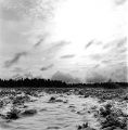 Hasselblad-500-cm-007-print.jpg