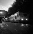 Rolleiflex_automat-035.jpg